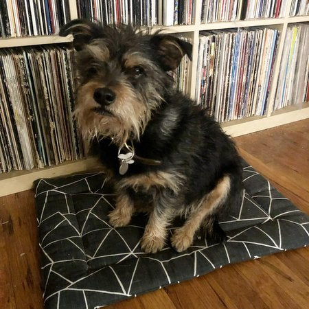 Meet Finn, our latest #JaneryStyle star!