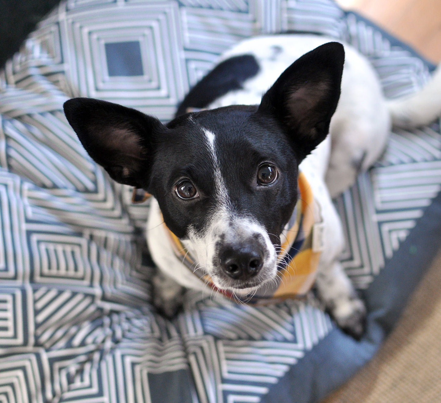 Meet Henry, Our Latest #JaneryStyle star!
