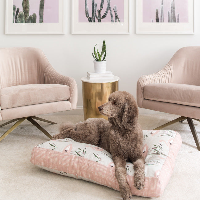 The Charlie Cushion: How The Best Dog Bed Got Its Name
