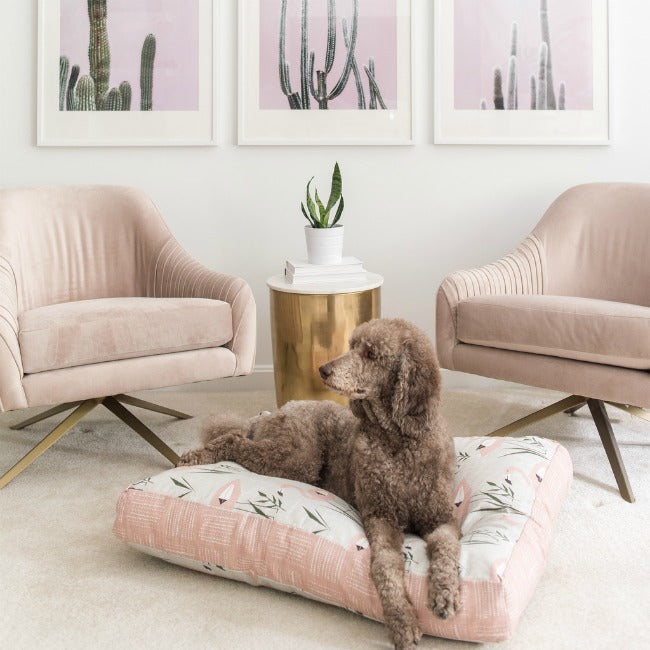 Limited Edition Flamingo Pet Beds: Which One Will You Flock To?