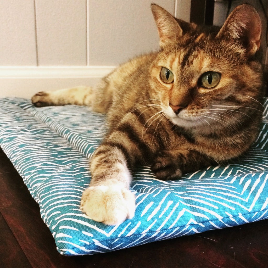 Meet Phoebe, our first #JaneryStyle star!