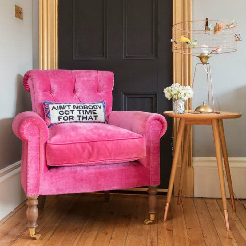 Velvet sales sofa cat