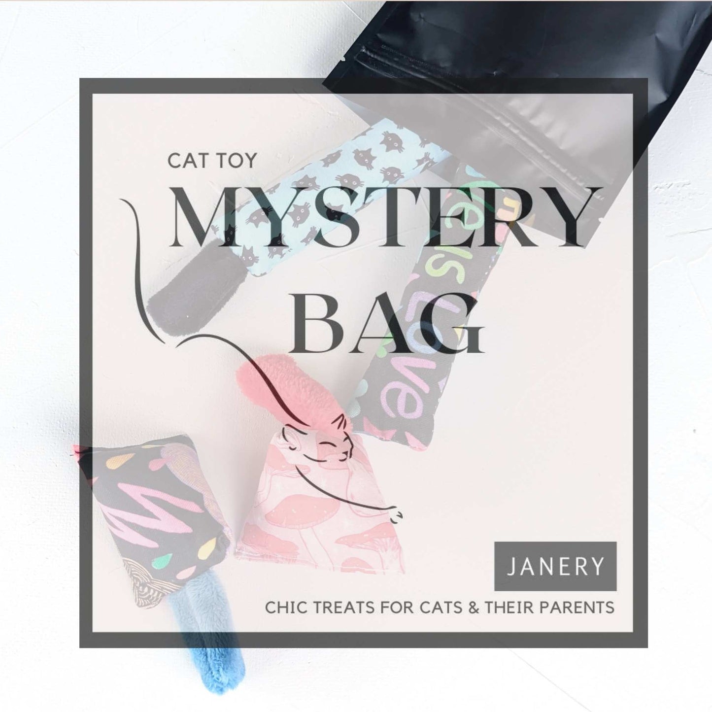 Cat Toy Mystery Bag