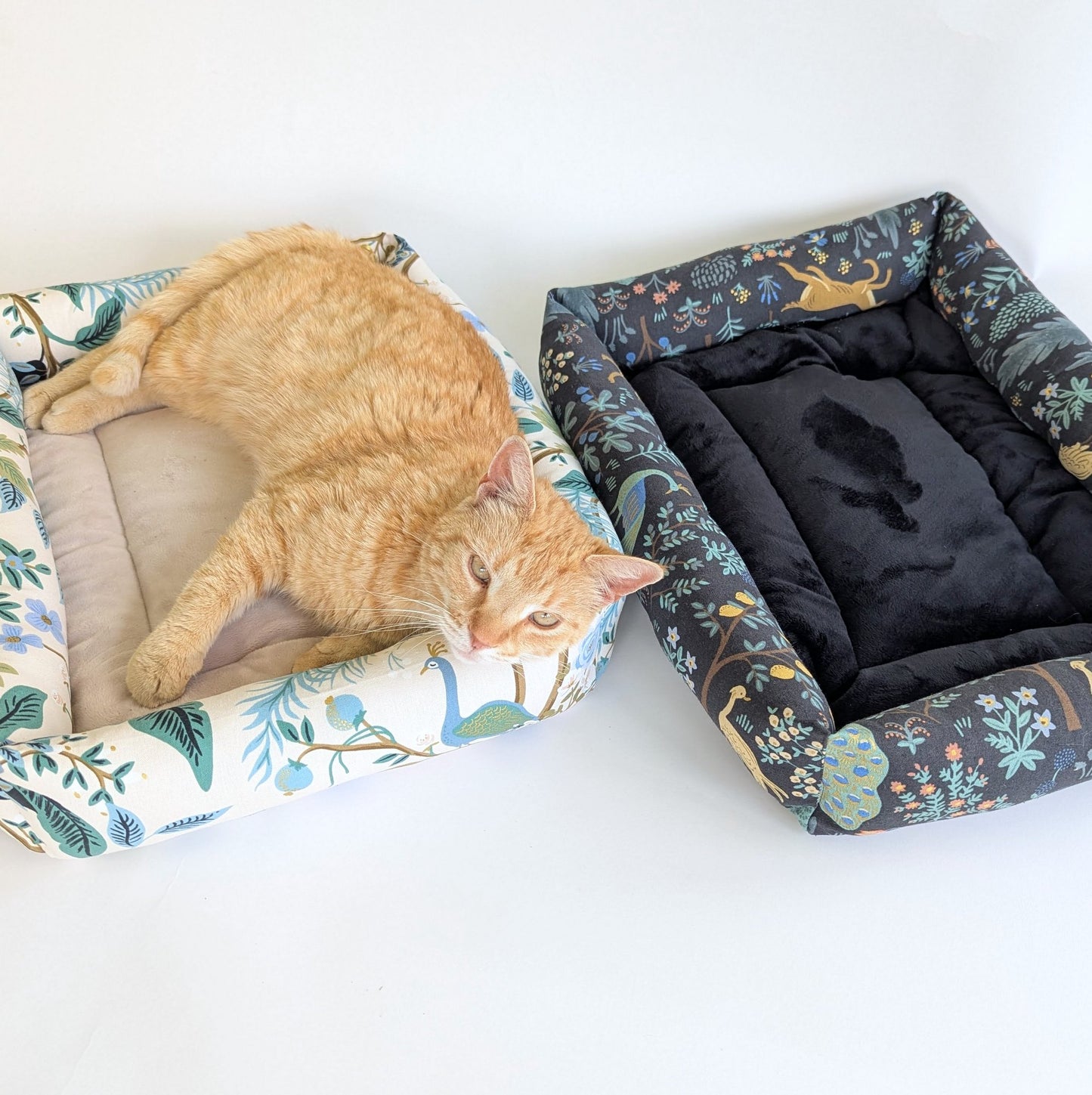 Catnip Cuddler | Rifle Paper Peacocks