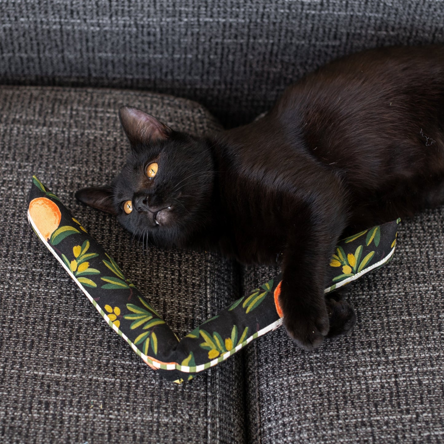 Catnip Kicker | Rifle Paper Collection