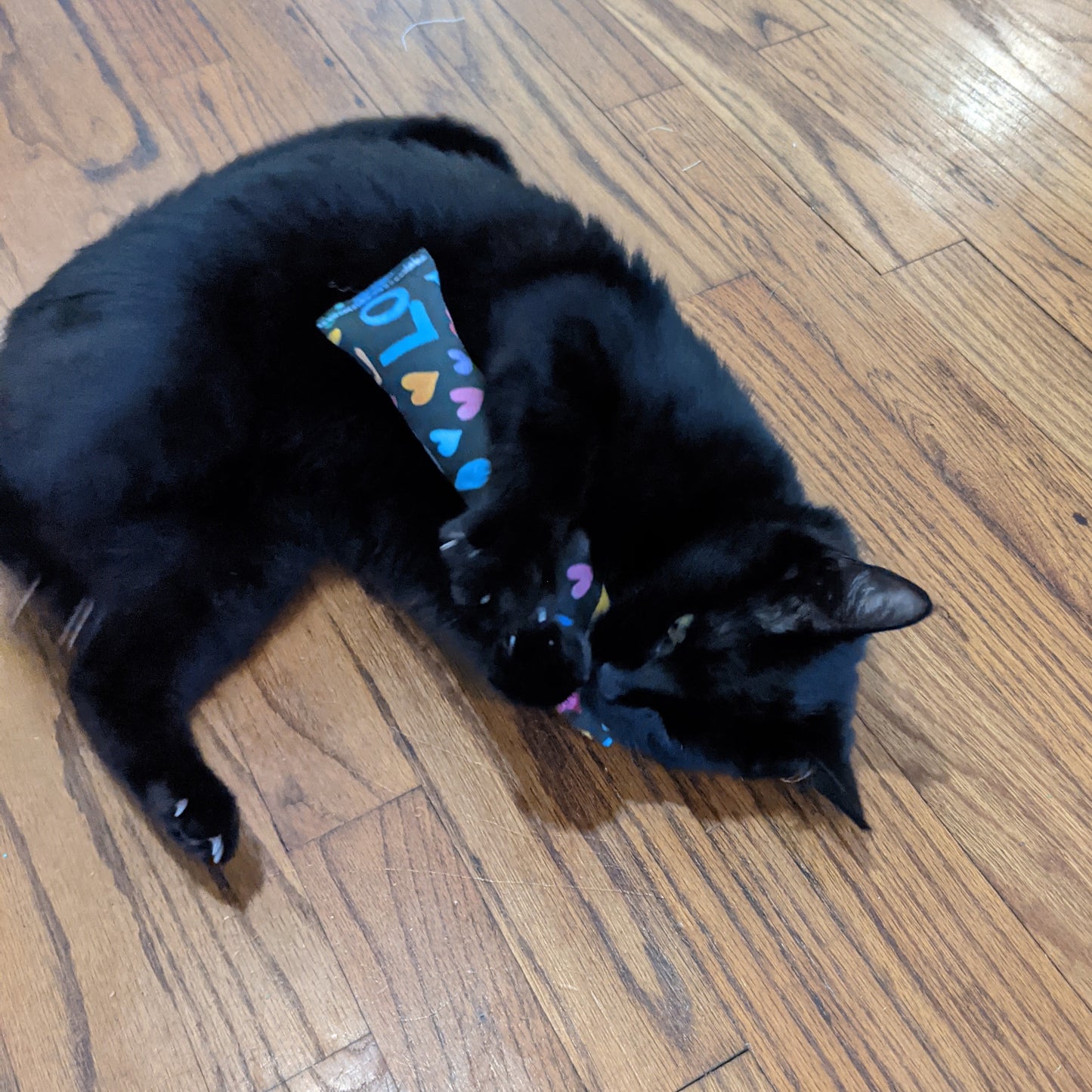 Catnip Log 4-Pack | Last Chance!