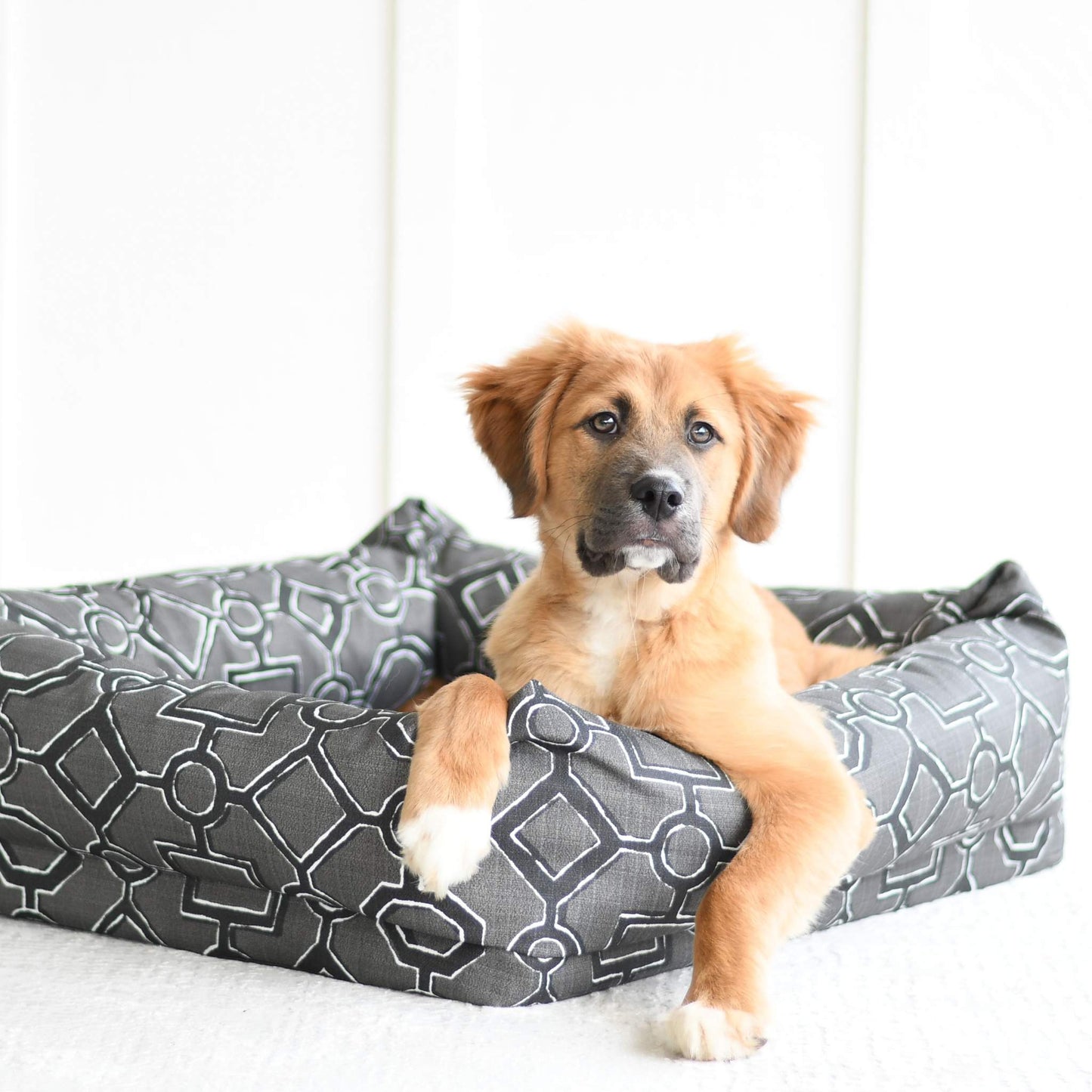 Dog Nest | Iron Gate