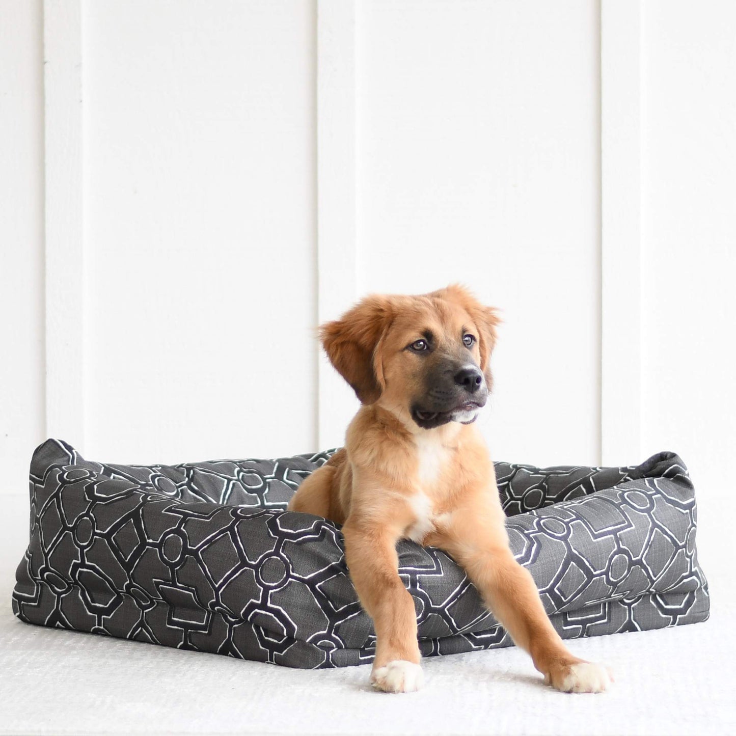 Dog Nest | Iron Gate