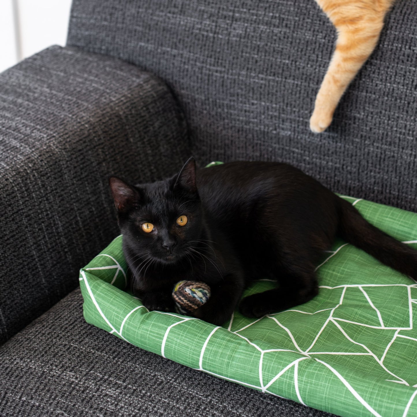 Catnip Cuddler | Gemstone Collection