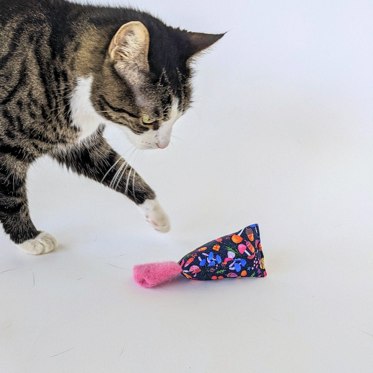 Catnip Jingler |  Mushroom Collection