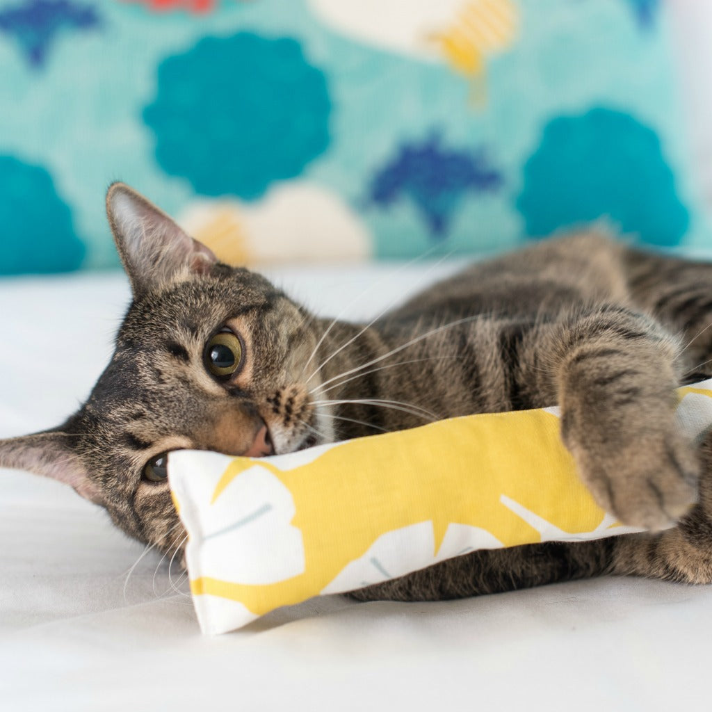 Cat Lady Starter Kit | Rifle Paper Collection