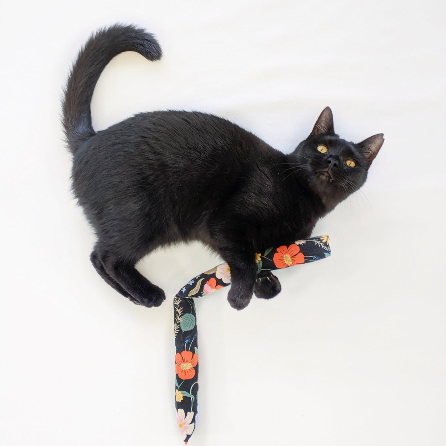 Catnip Kicker | Rifle Paper Collection