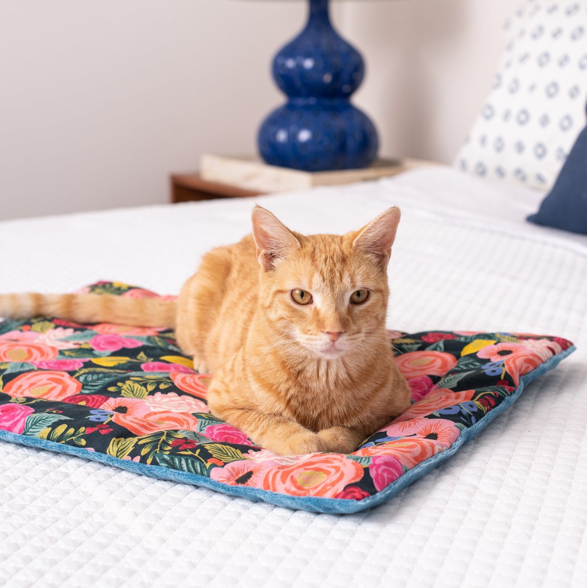 Cat Lady Starter Kit | Rifle Paper Collection