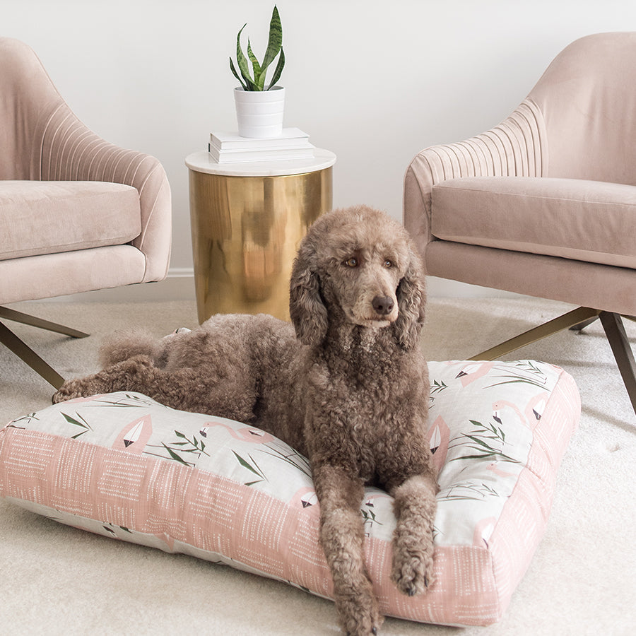 Charlie Cushion | Flamingos