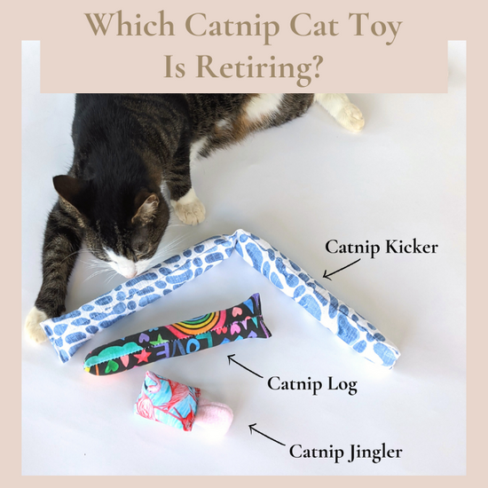 Saying Goodbye To A Classic Cat Toy