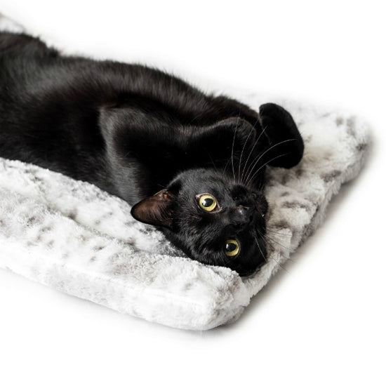 Cats Can t Resist These Snuggle Worthy Cat Beds Janery
