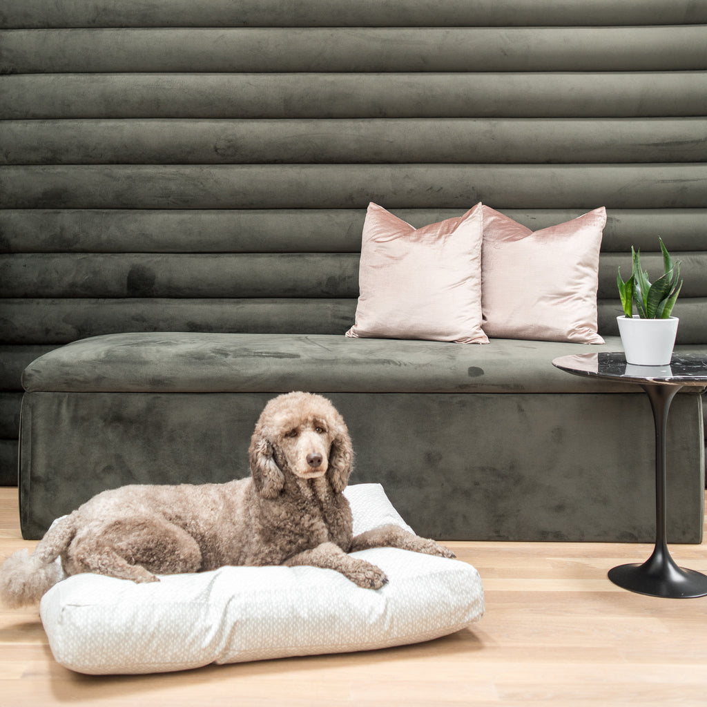 Janery's New Luxury Pet Beds with Classic Style