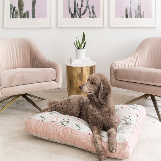 The Charlie Cushion: How The Best Dog Bed Got Its Name