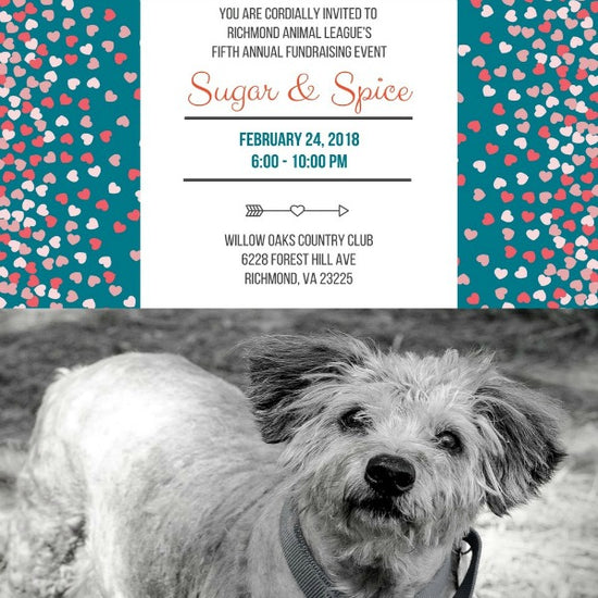 Janery Richmond Animal League Sugar and Spice Fundraising Auction