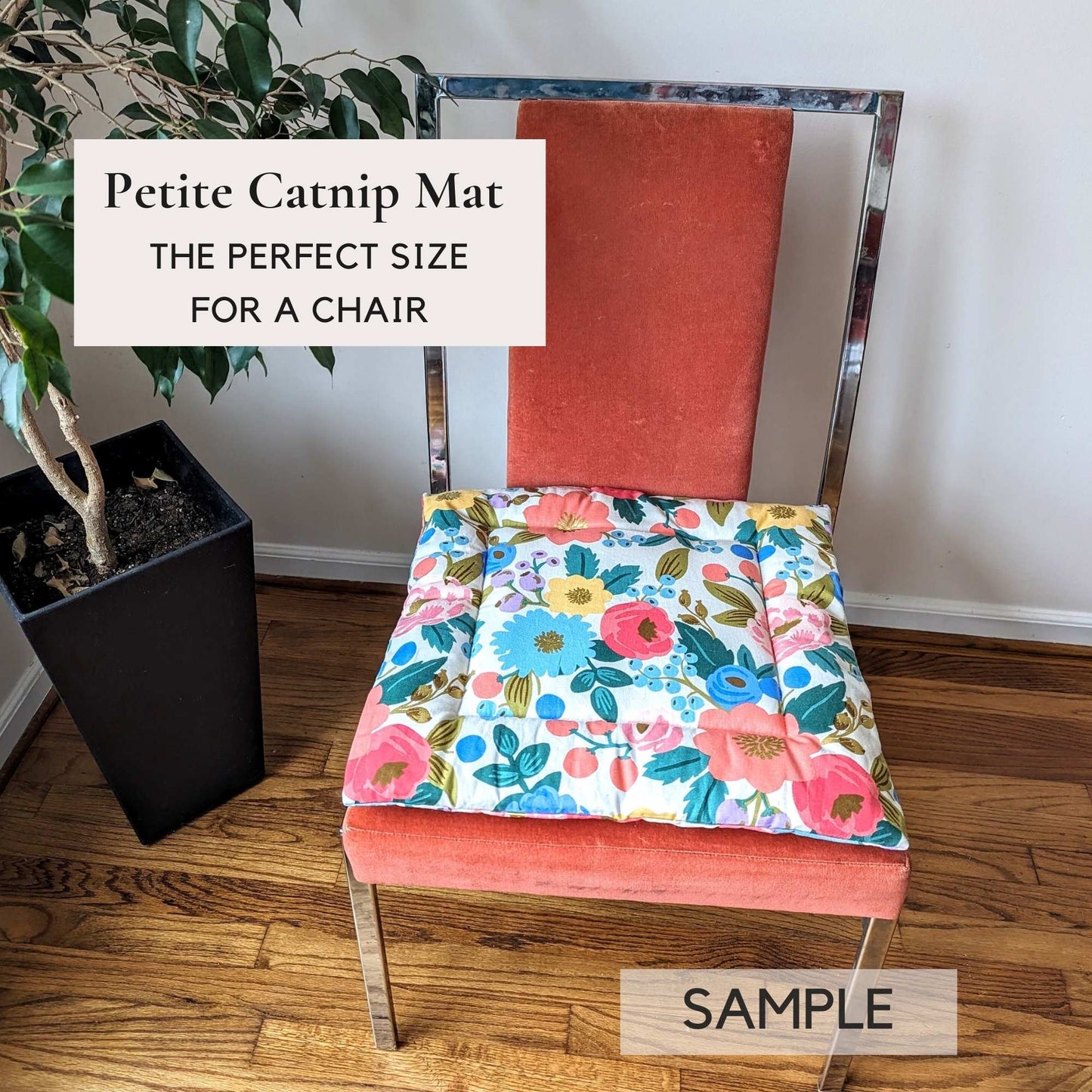 Petite Mystery Kit | For Cats