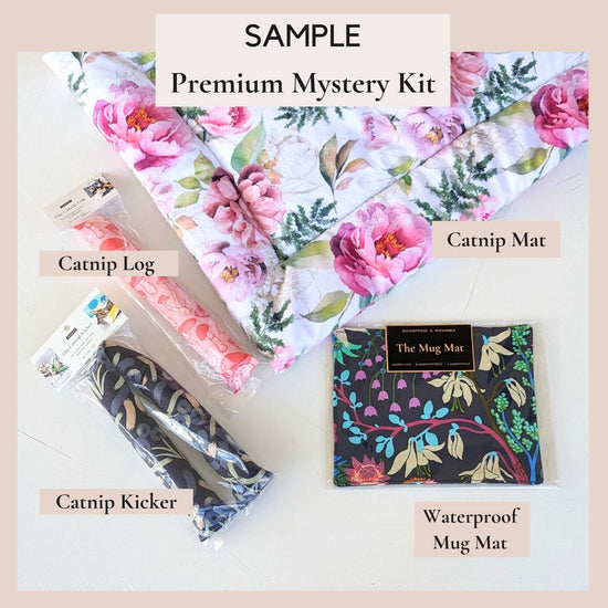 Premium Mystery Kit | For Cats