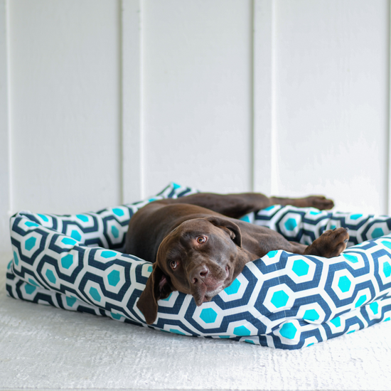 Dog Nest | Mod Blue