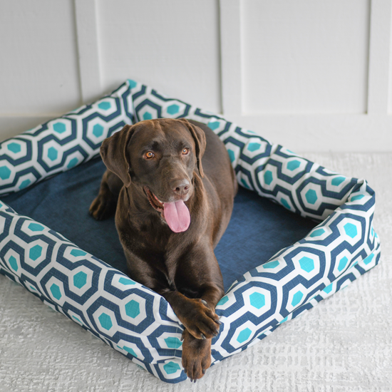 Dog Nest | Mod Blue