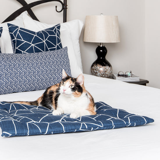 Janery Washable Cat Bed The Catnip Mat Sapphire
