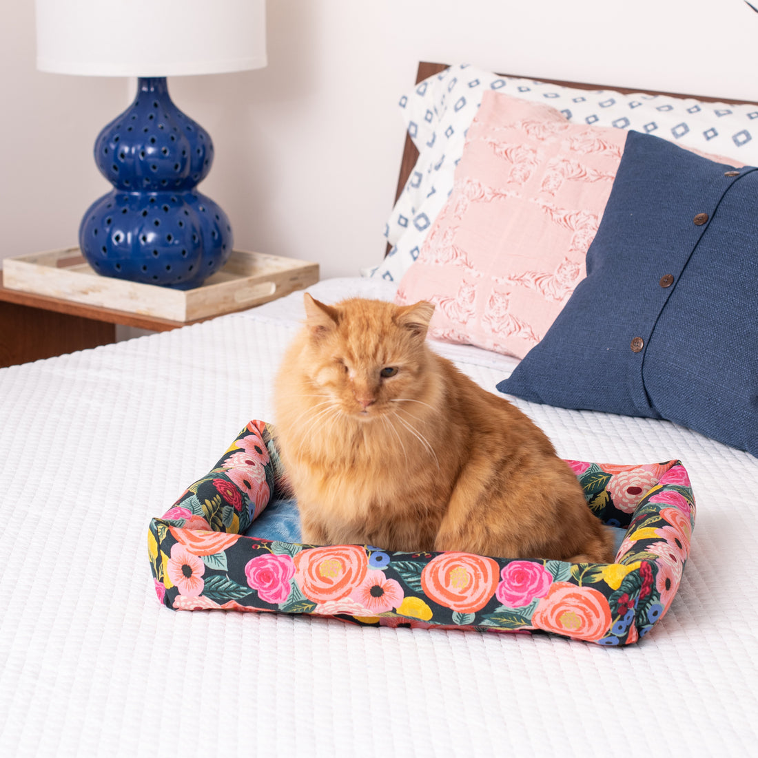 Janery: Sophisticated waterproof pet beds ethically made in the USA