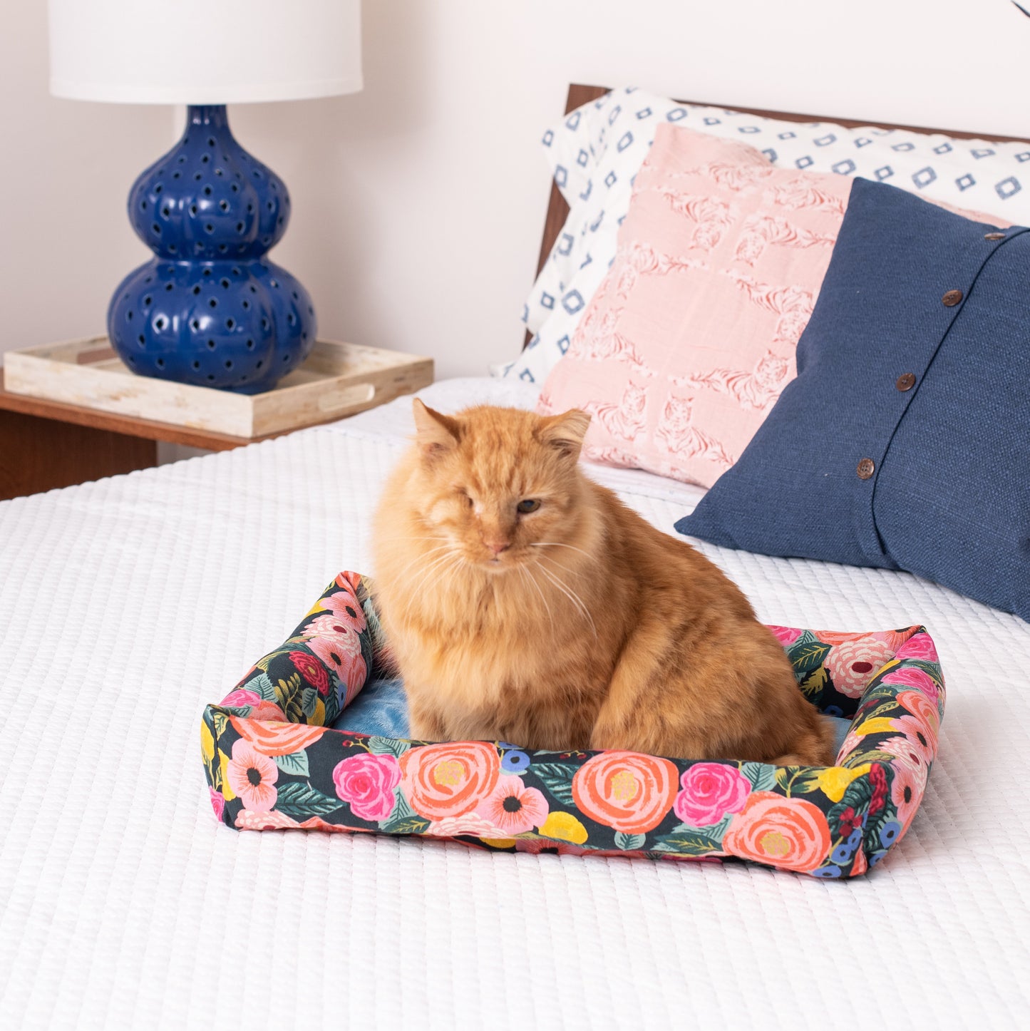 Disposable dog bed liners cheap