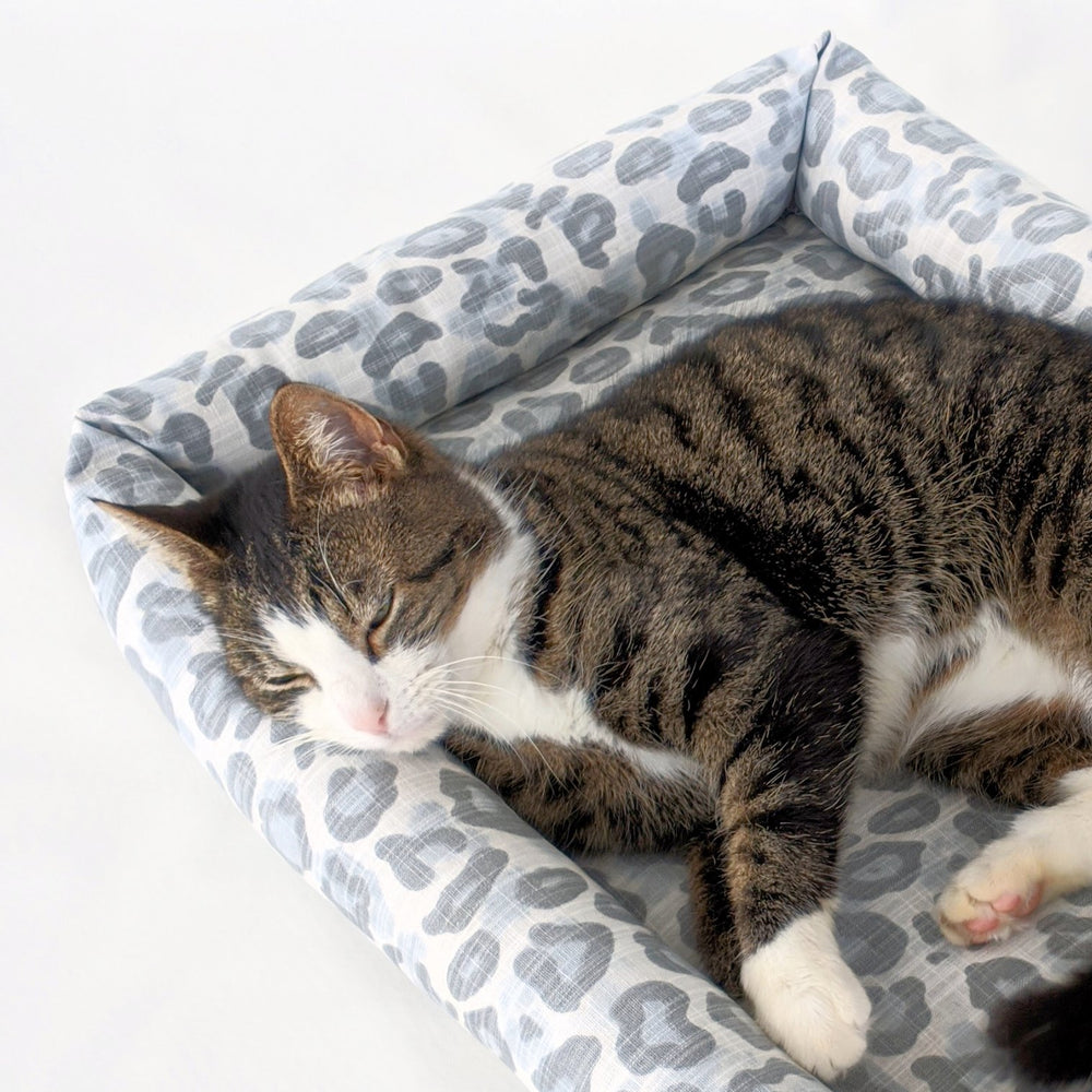 Catnip Cuddler | Snow Leopard