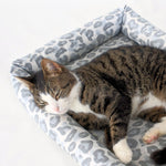 Catnip Cuddler | Snow Leopard