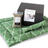 Cat Lady Starter Kit | Gemstone