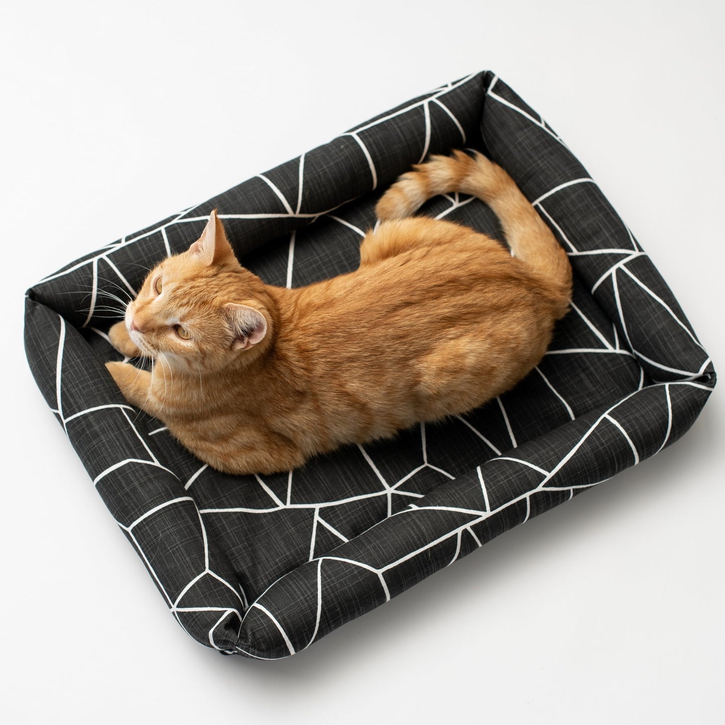 Catnip Cuddler | Gemstone Collection