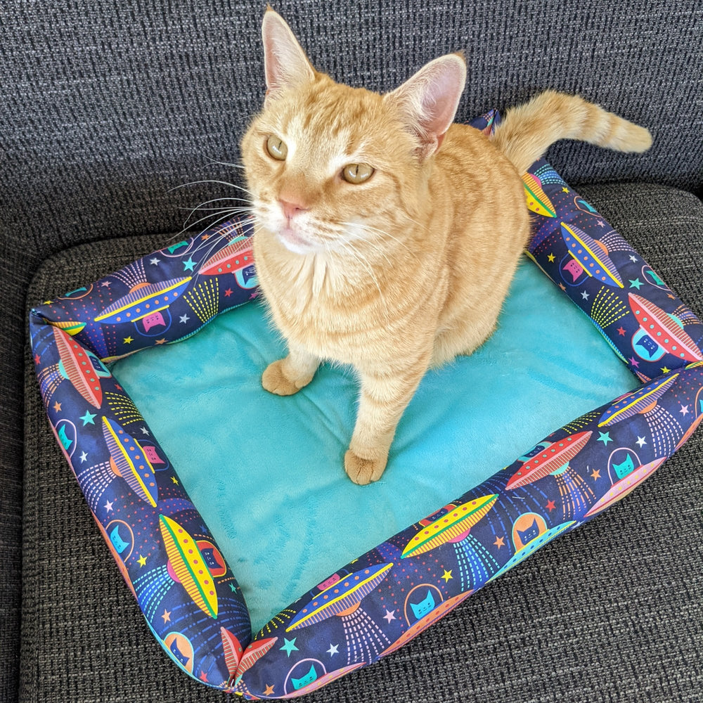 Catnip Cuddler | UFO Cats