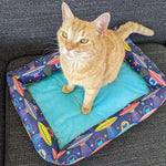 Catnip Cuddler | UFO Cats