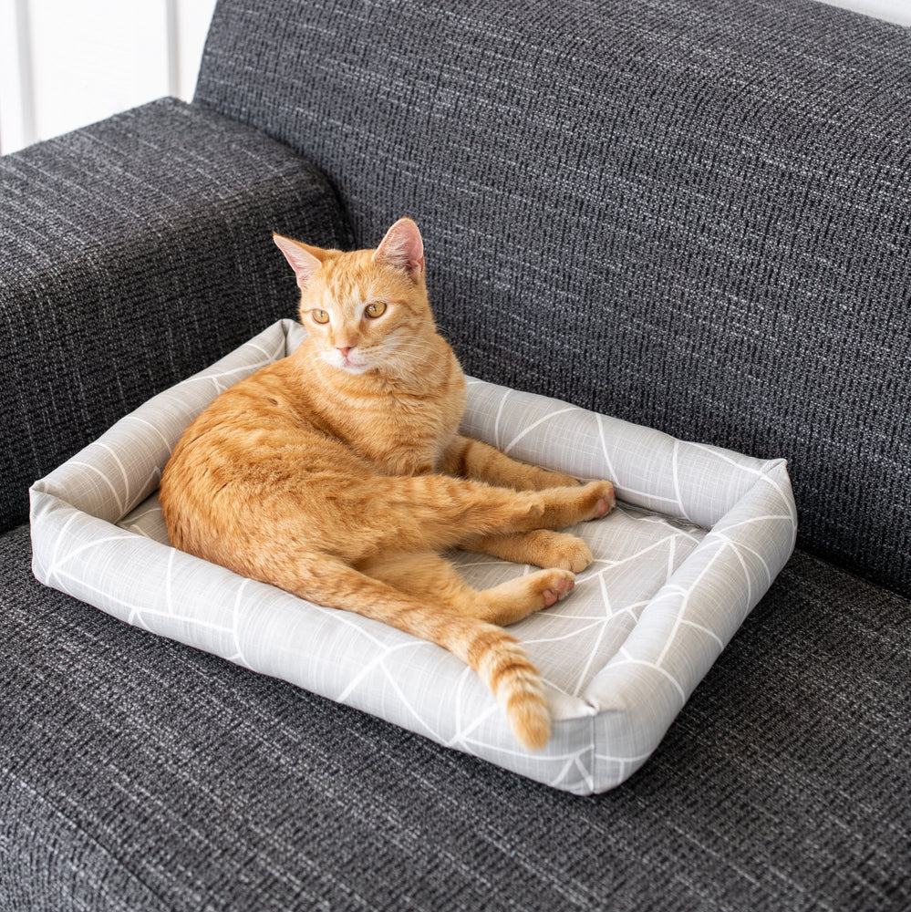 Catnip Cuddler | Gemstone Collection