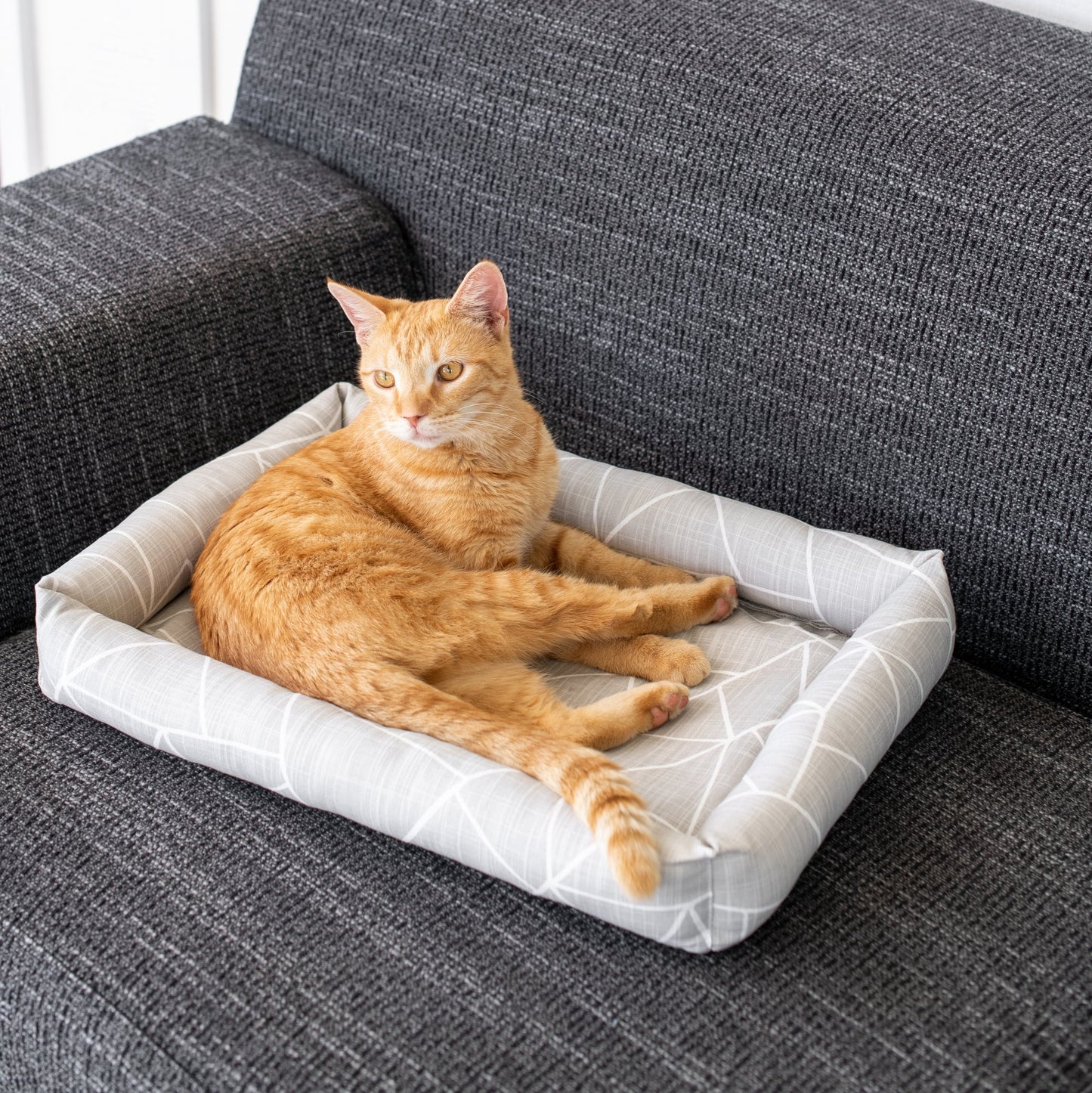 Catnip Cuddler | Gemstone Collection