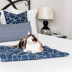 Cat Lady Starter Kit | Gemstone