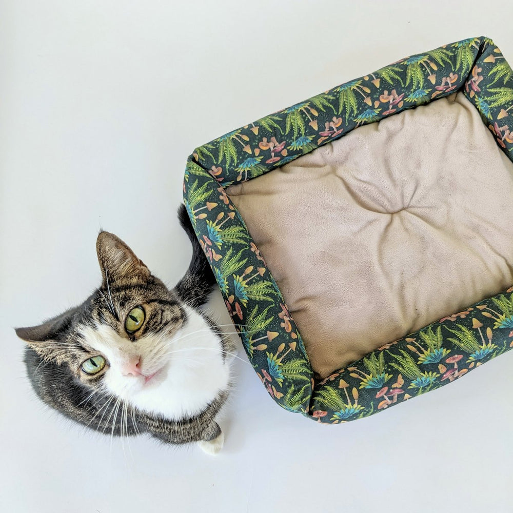 Catnip Cuddler | Forest Funghi