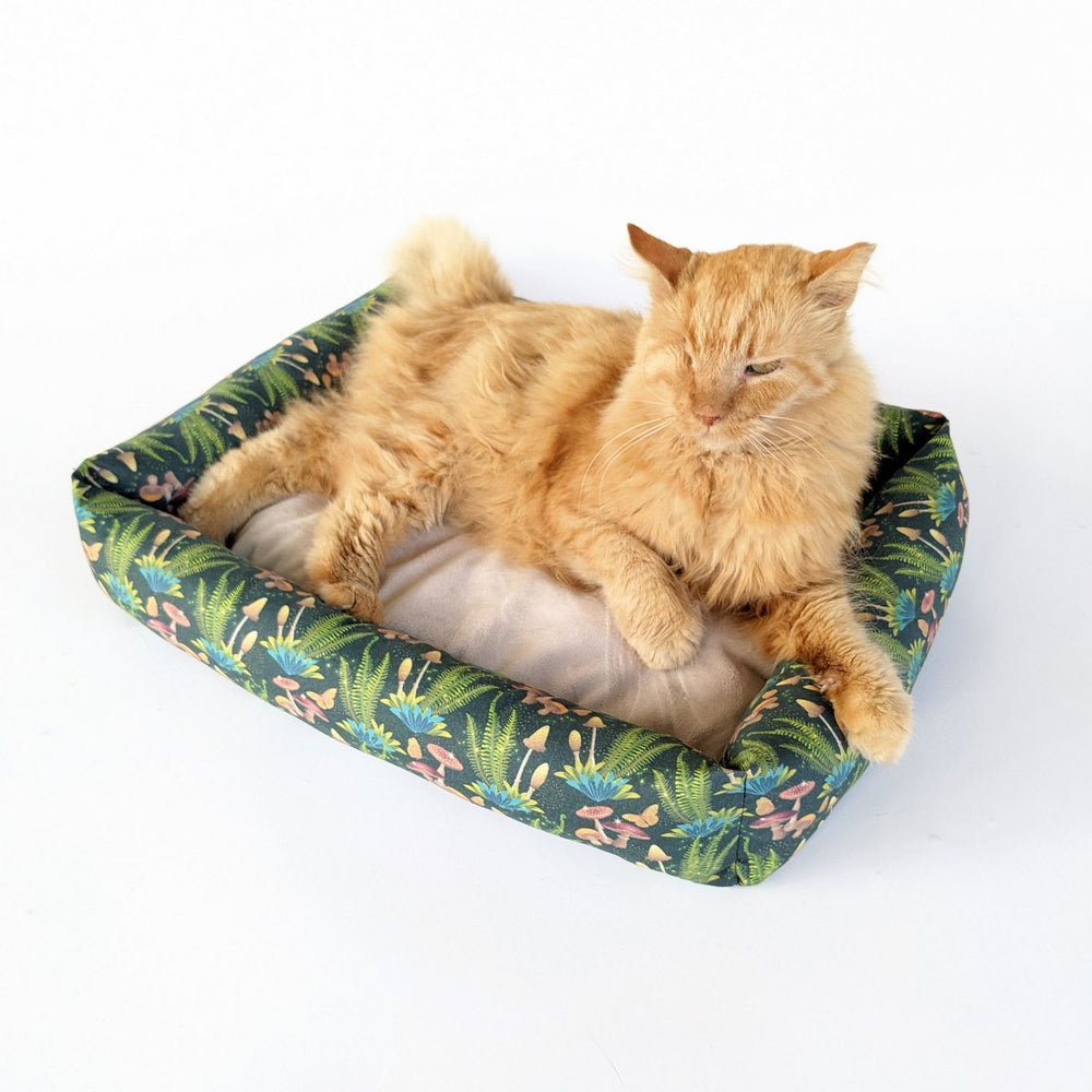 Catnip Cuddler | Forest Funghi