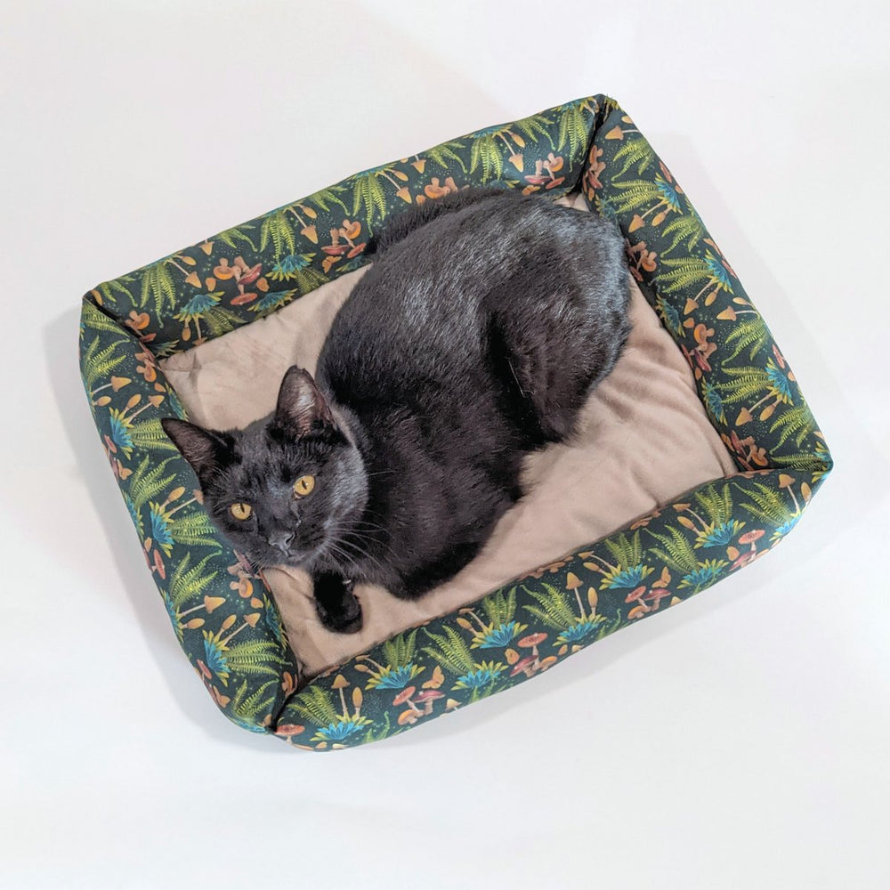 Catnip Cuddler | Forest Funghi