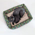 Catnip Cuddler | Forest Funghi