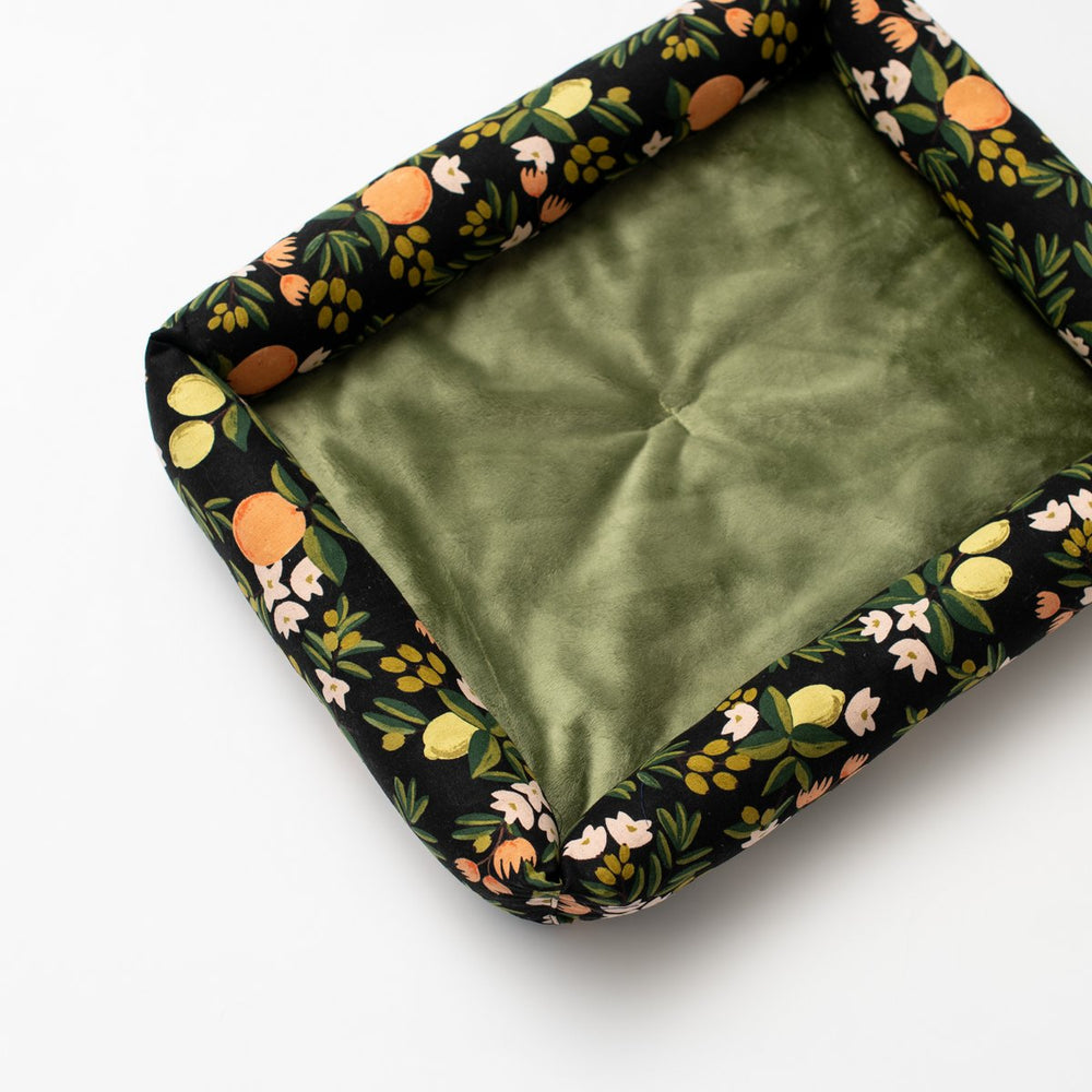 Catnip Cuddler | Rifle Paper Collection