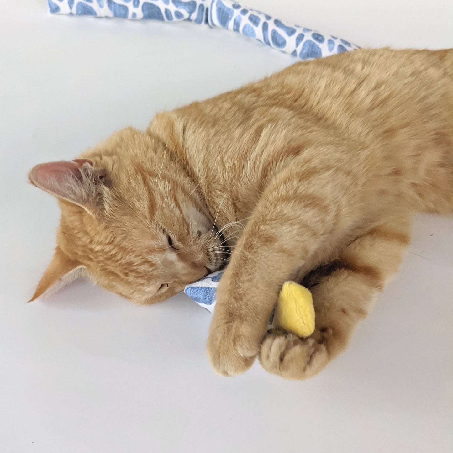 Catnip Jingler | Science