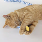 Catnip Jingler | Science