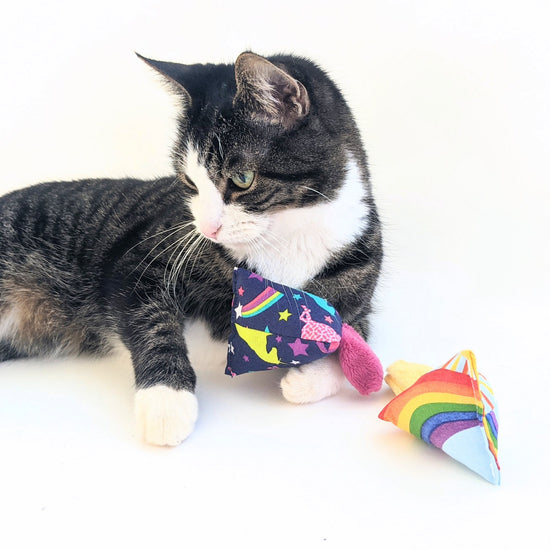 Catnip Jingler | Rainbow Love