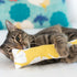Cat Toy Surpise | Sample Sale