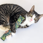 Catnip Log | Mushroom Collection