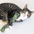 Catnip Log | Mushroom Collection
